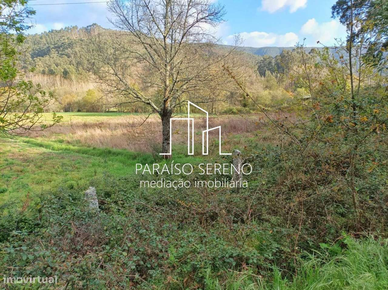 Terreno em Ossela - Grande imagem: 3/5