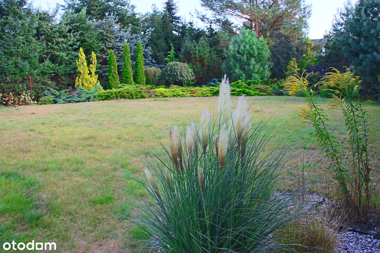 Dom, 165 m², Krosinko-5