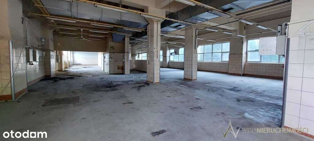 Lokal | 1200 m2 | Pod produkcję/Magazyn - Pełny obrazek: 5/7