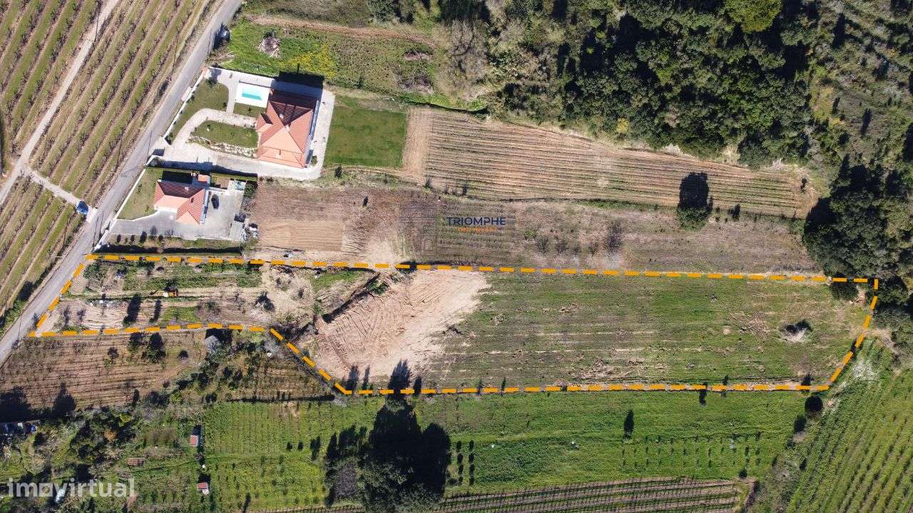 Terreno 12.560m2 c/ possibilidade construção Delgada, Bombarral - Grande imagem: 2/4