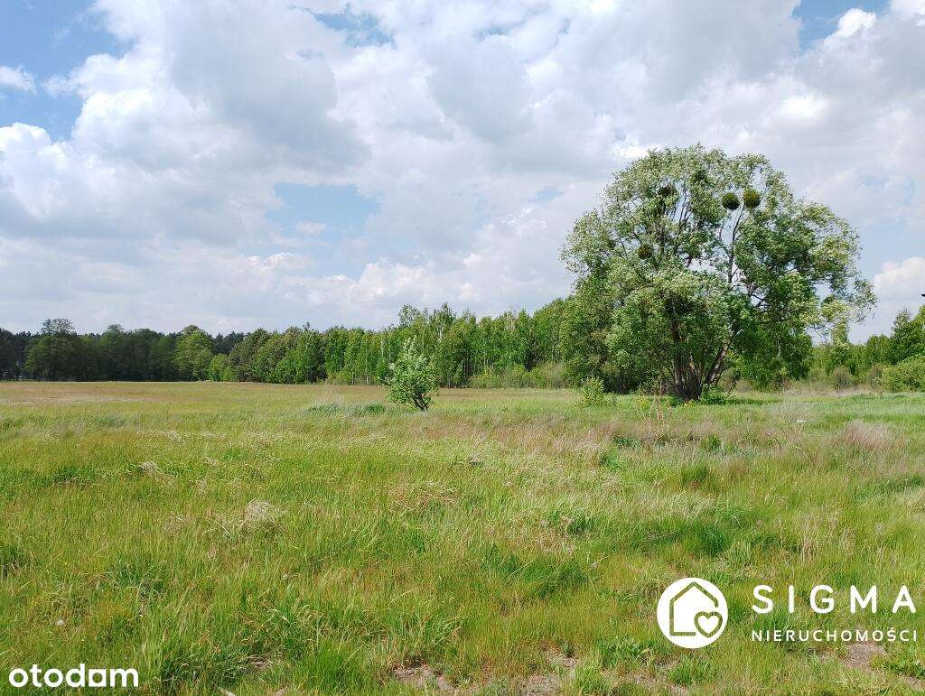 Dom wolnostojący 50 km od Warszawy-3