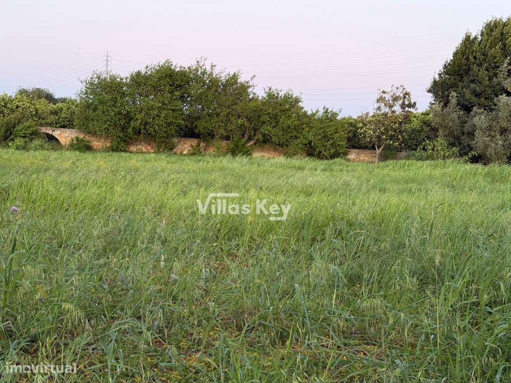 Terreno rústico com terra fértil para agricultura, tanque,nora,bons...-3