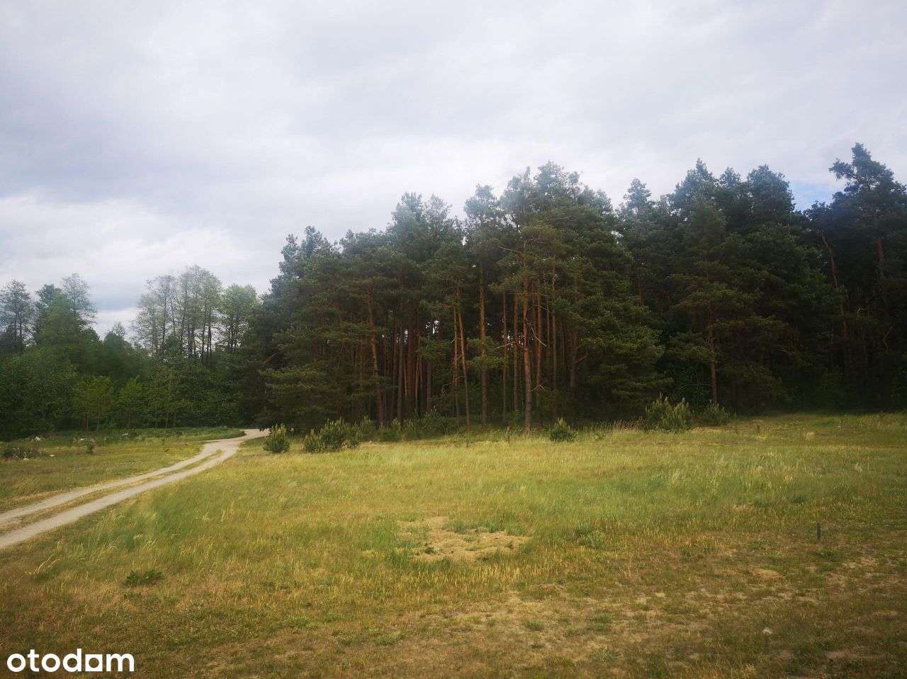 Działka budowlana 1159m2, Płazów - Roztocze - Pełny obrazek: 4/7