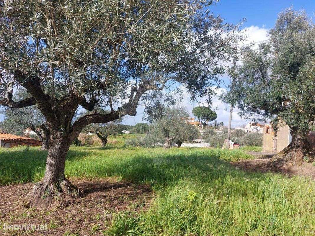 Terreno  para venda - Grande imagem: 4/5