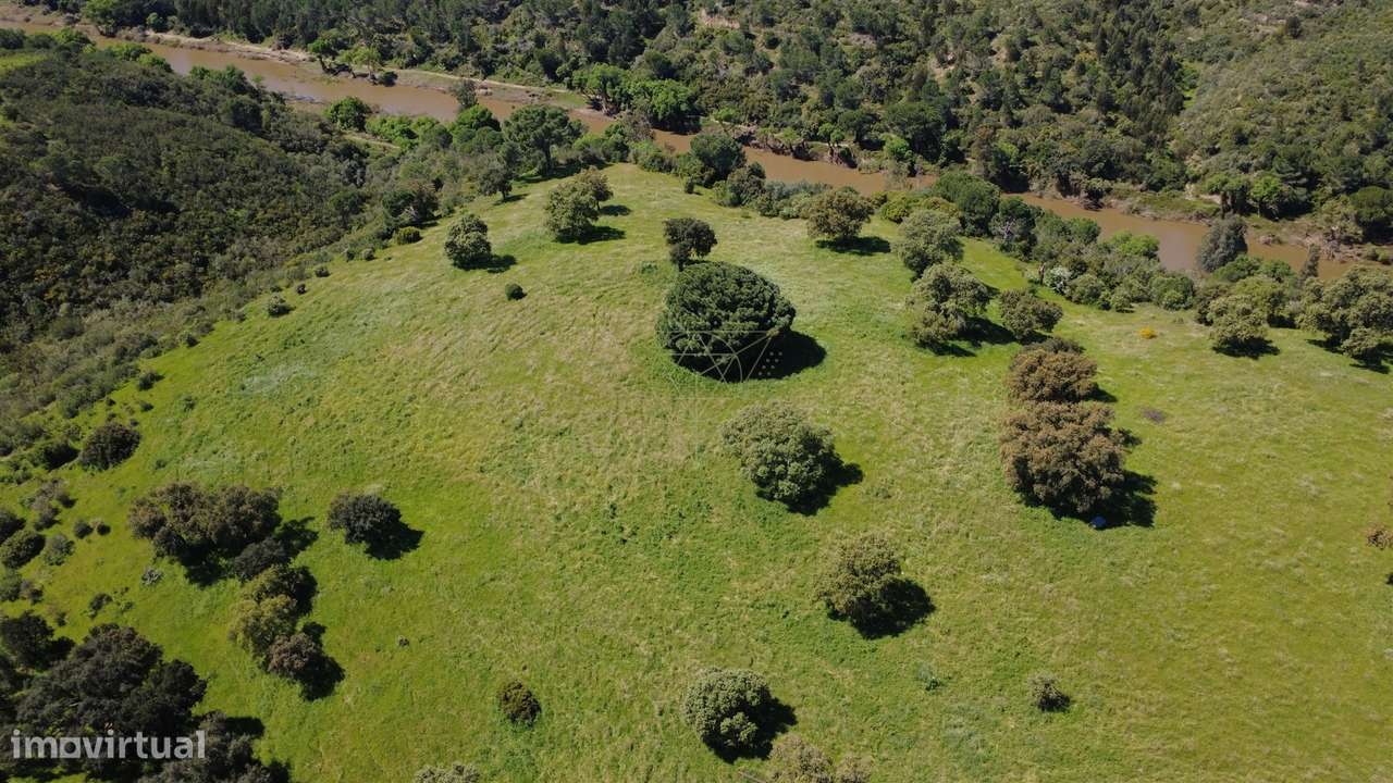 Herdade  Venda em Figueira dos Cavaleiros,Ferreira do Alentejo-11