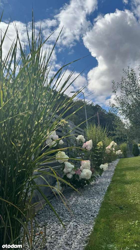 Dom jednorodzinny w spokojnej okolicy - Pełny obrazek: 4/20