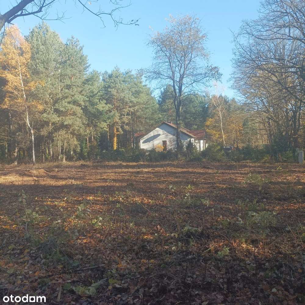 Budowlana / Otoczenie Las-7