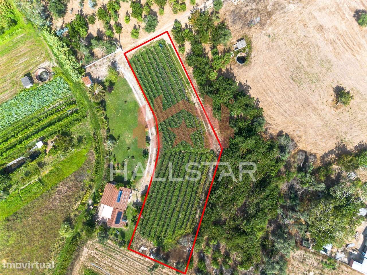 Terreno para construção / Área de 1848m² / Souto da Carpalhosa-6