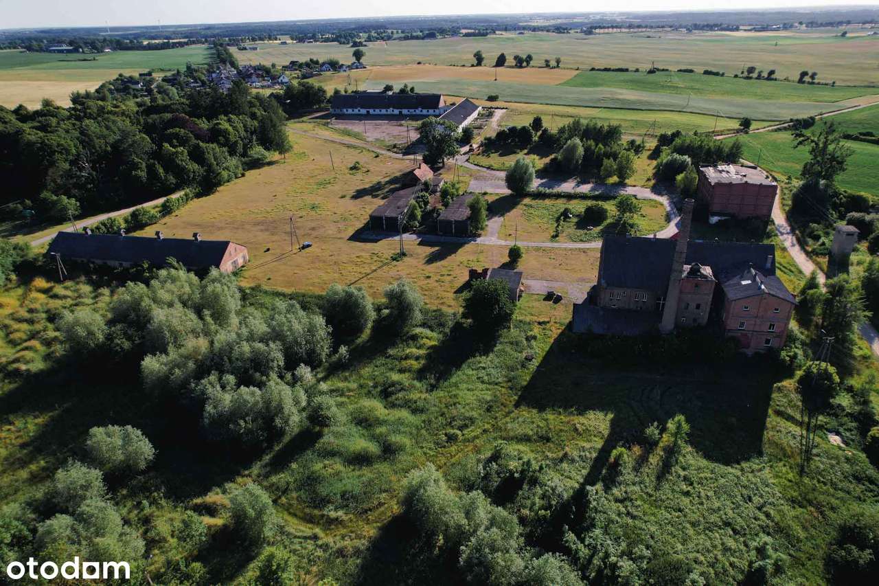 Sprzedam Folwark pod Brodnicą - łącznie 23ha - Pełny obrazek: 3/13