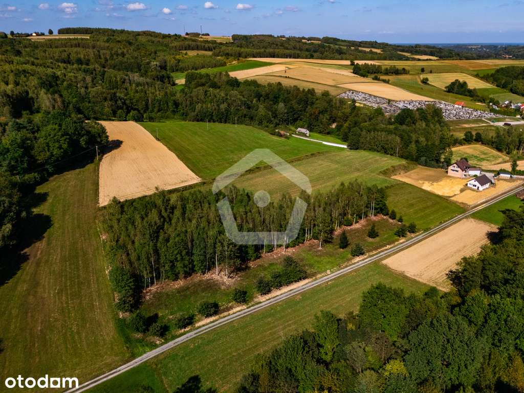 Działka przy lesie z WZ - 34 ar + 16 ar (las) - Pełny obrazek: 5/8