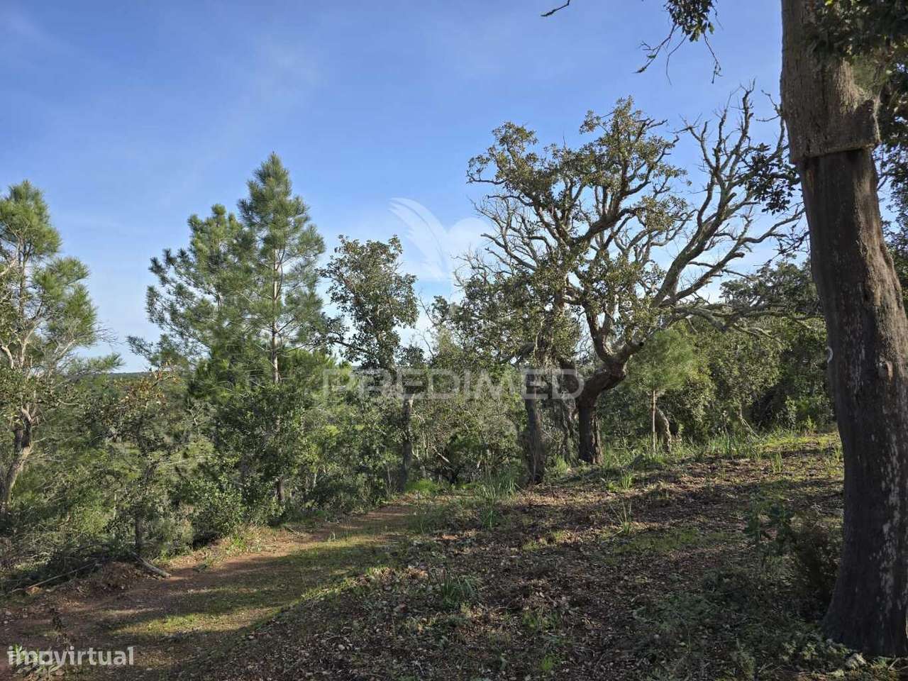 Terreno Rústico - Zona de Vale Figueira - Grande imagem: 4/27