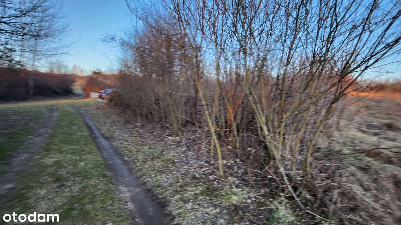 Działka na sprzedaż w spokojnej okolicy Niegowonice ul.Kościelna-4