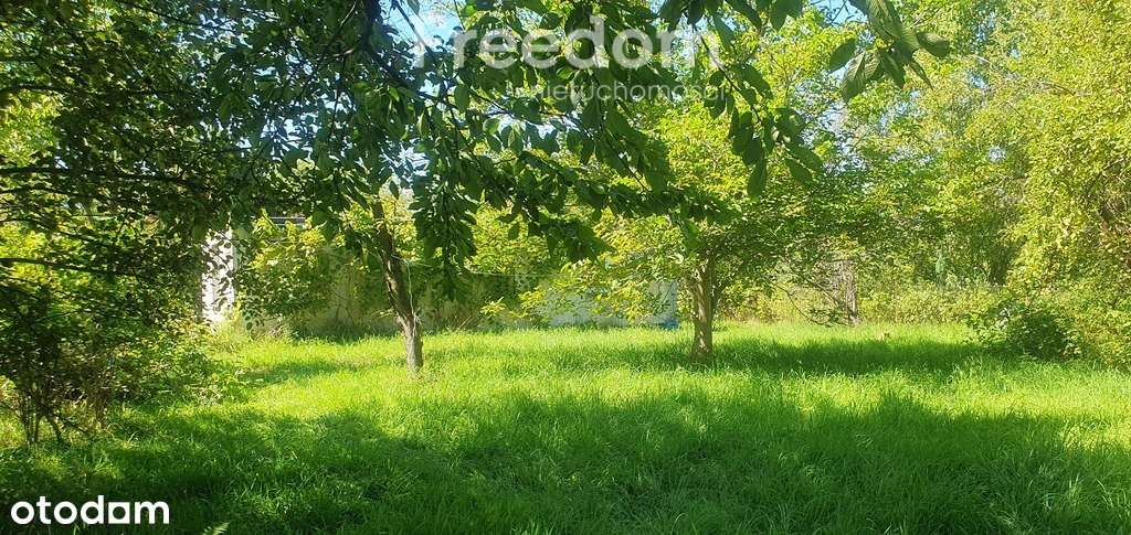 Duża działka budowlana z domkiem i sadem.-10