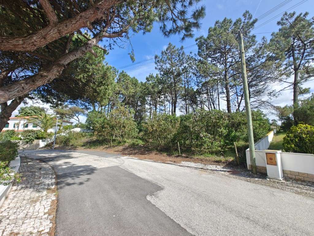 Lote a apenas 750 metros da Lagoa de Óbidos-4