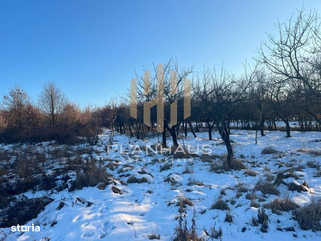 2 Parcele teren, str. Dumbravei, Baia Mare - Imagine principală: 2/4