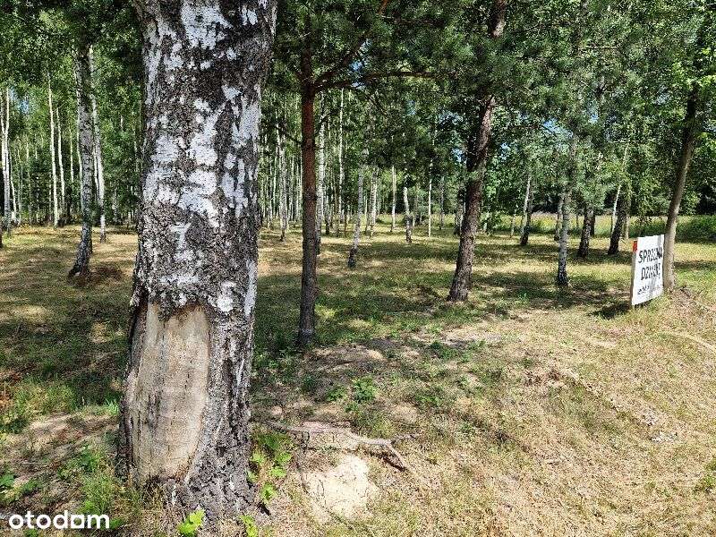 Działki budowlane Rybna-3