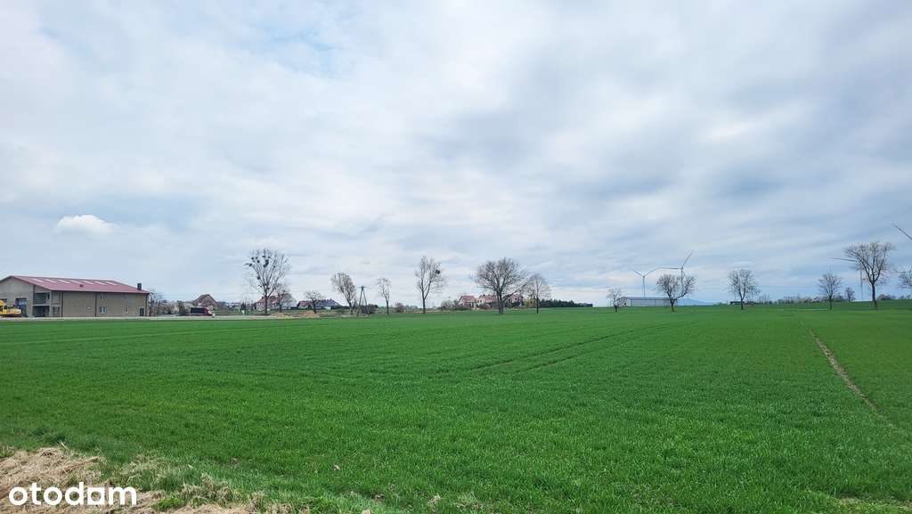 Działka | Pod inwestycję |Kostomłoty |Węzeł A4-2