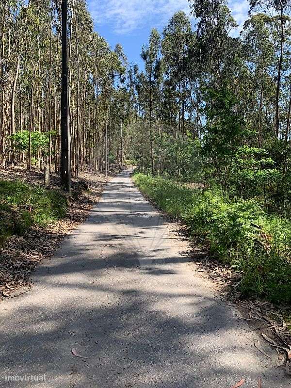 Terreno  para venda - Grande imagem: 2/10