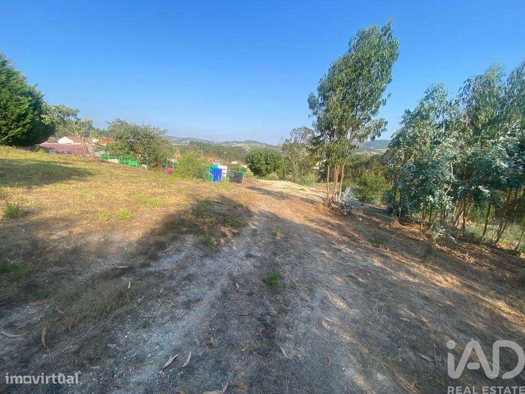 Casa de aldeia em Maxial e Monte Redondo de 123,00 m2 - Grande imagem: 5/10