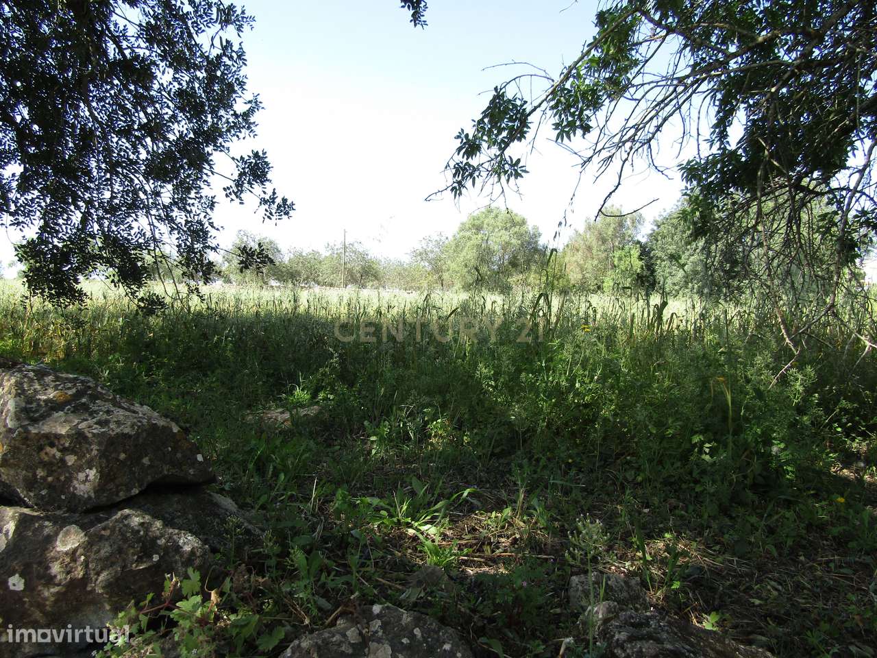 Terreno Rústico na Arroteia - Grande imagem: 5/6