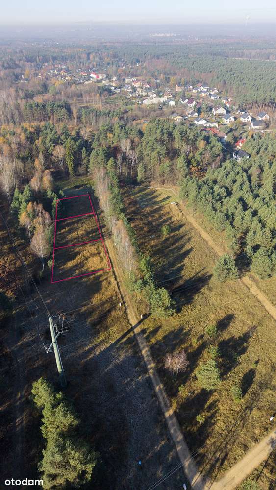 Sosnowiec | Działki budowlane w sąsiedztwie lasu - Pełny obrazek: 3/12