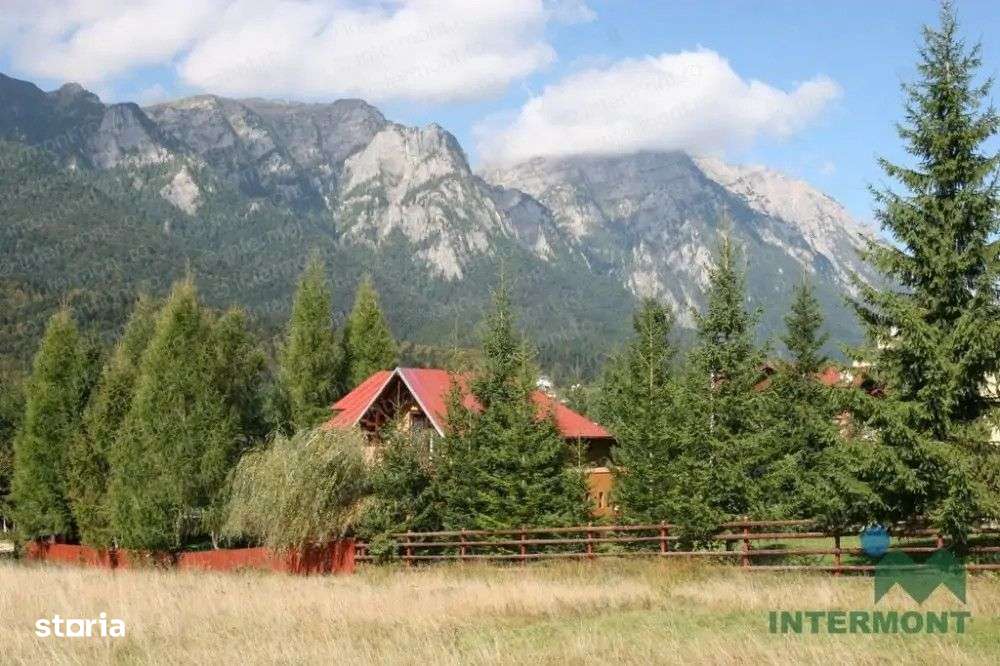 Teren Busteni- intravilan - Imagine principală: 4/5