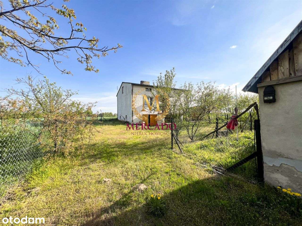 Dom na dużej działce 1,4 ha – Komorowo k. Izbicy K - Pełny obrazek: 2/20