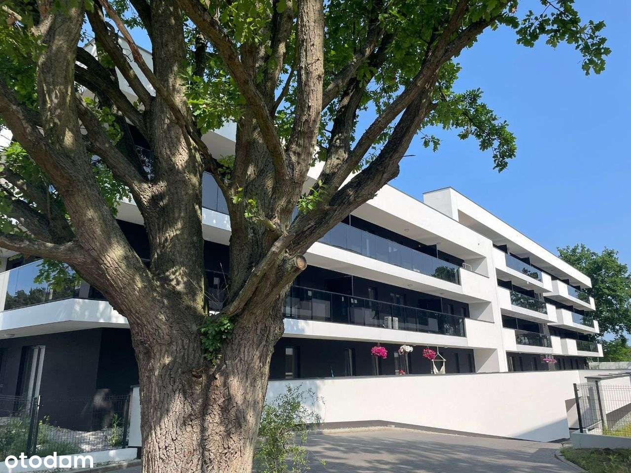 3-pokoje z dużym tarasem! GOTOWE do odbioru - Pełny obrazek: 3/9