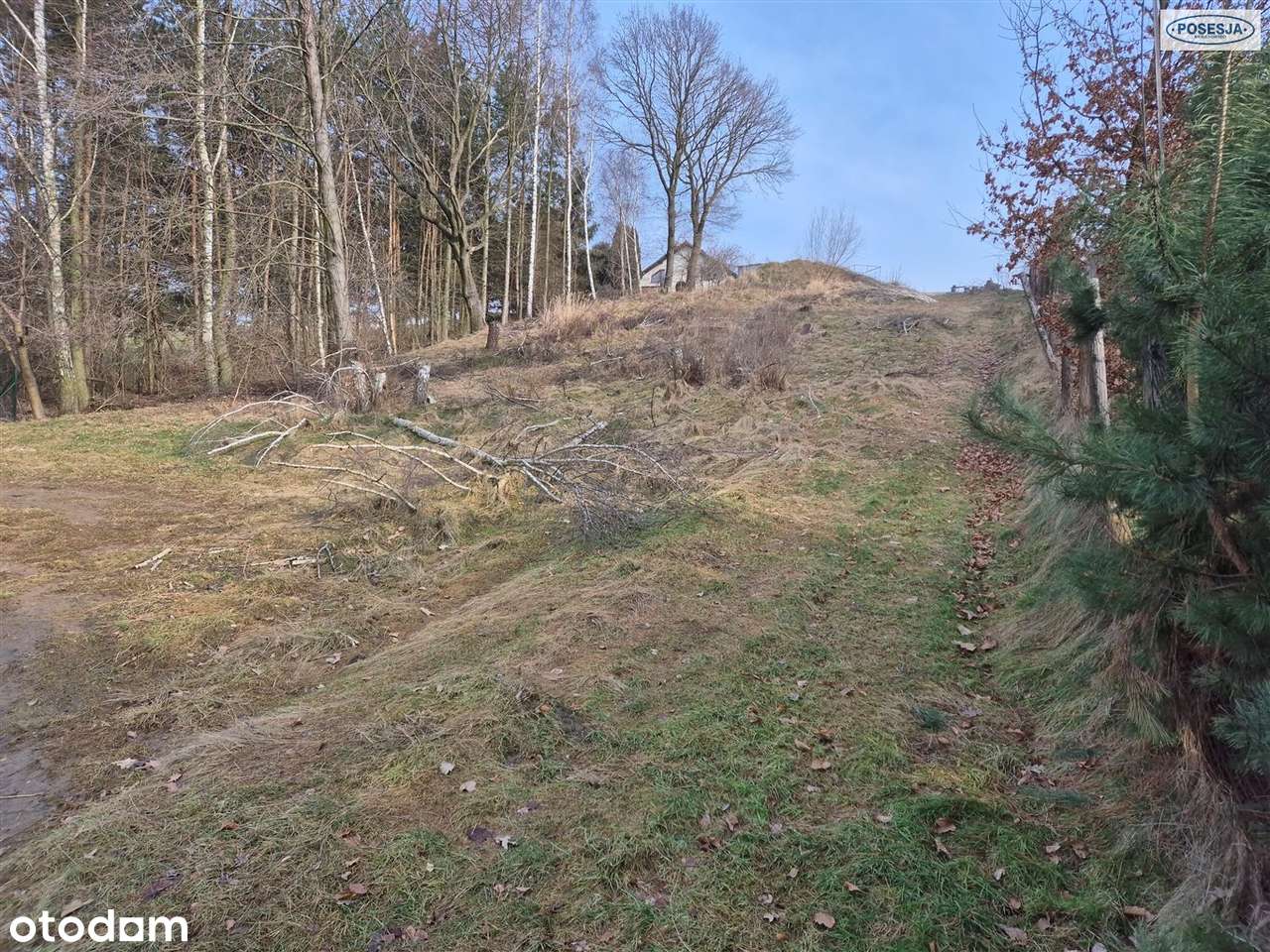 Atrakcyjna działka w Świerklanach - Pełny obrazek: 5/6