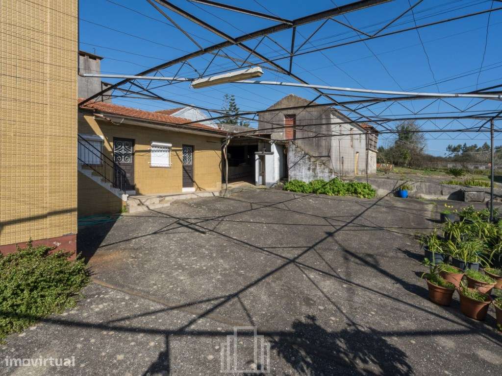 Casa antiga T4 - Souto - Grande imagem: 3/45