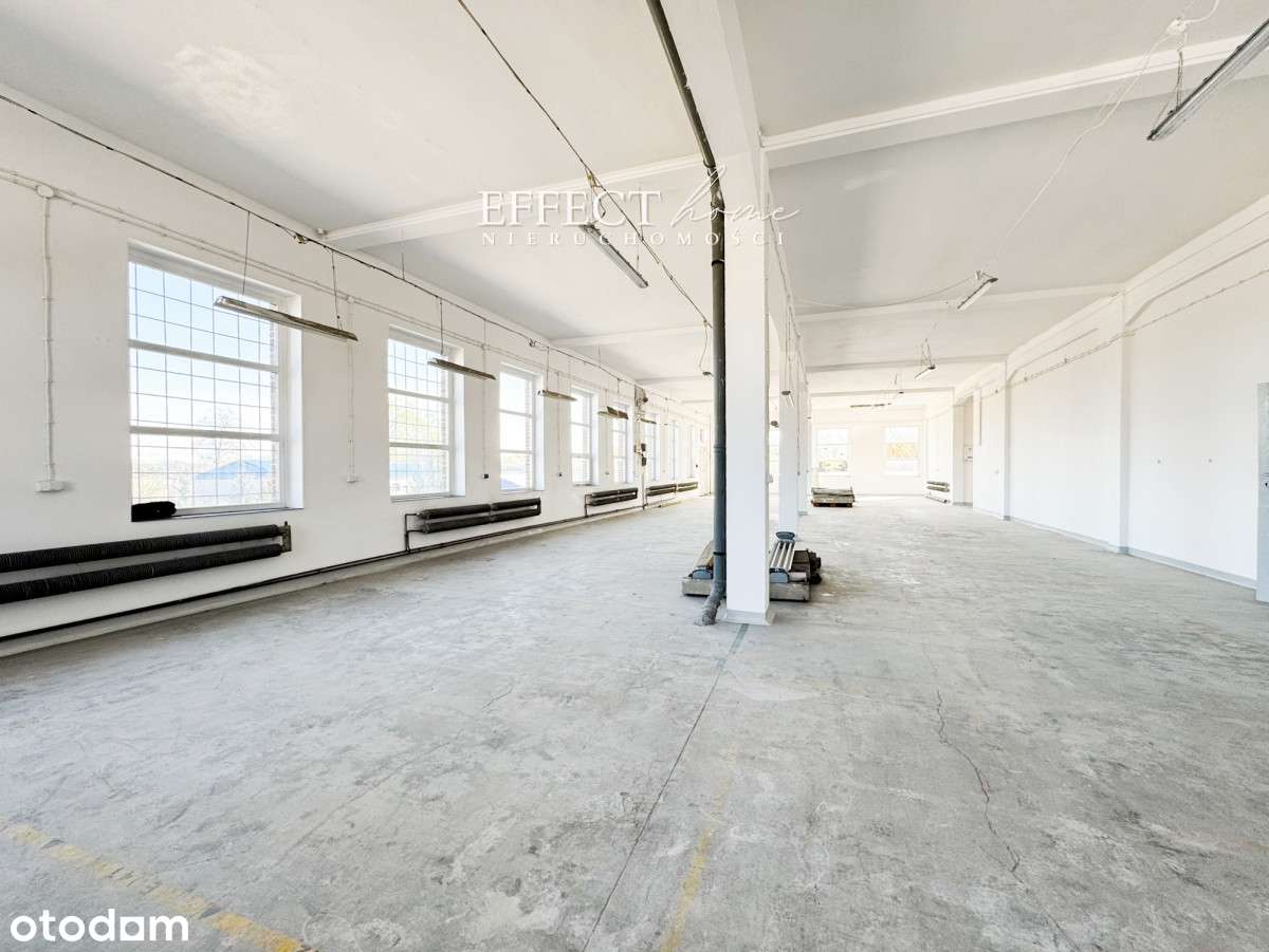 Hala 400 m² - do wyboru parter, I i II piętro - Pełny obrazek: 2/15