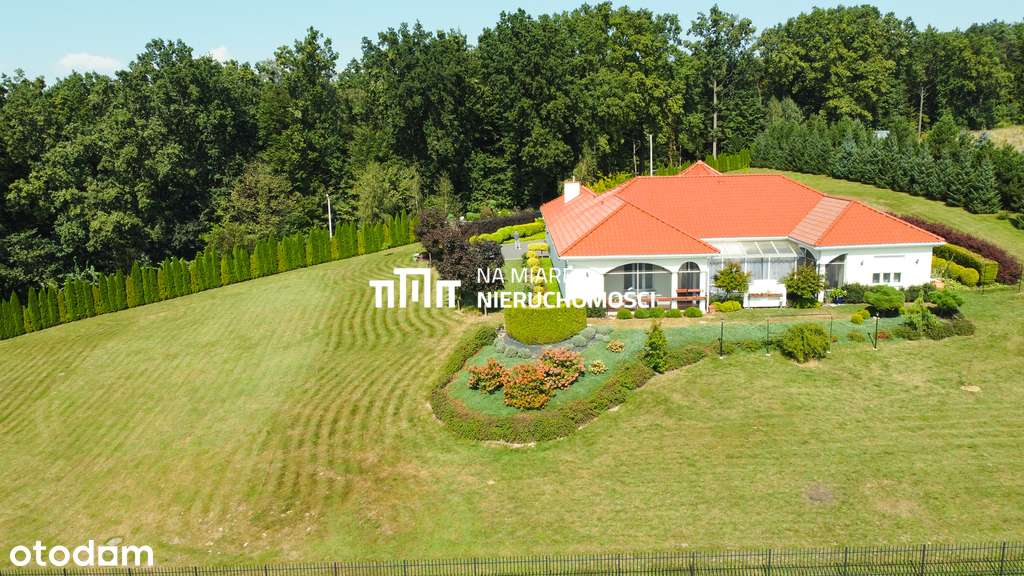 Przestronna i prywatna rezydencja w Babicy - Pełny obrazek: 5/20