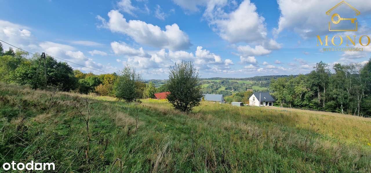 Atrakcyjna oferta działka ok. 50 ar pod lasem!!-10