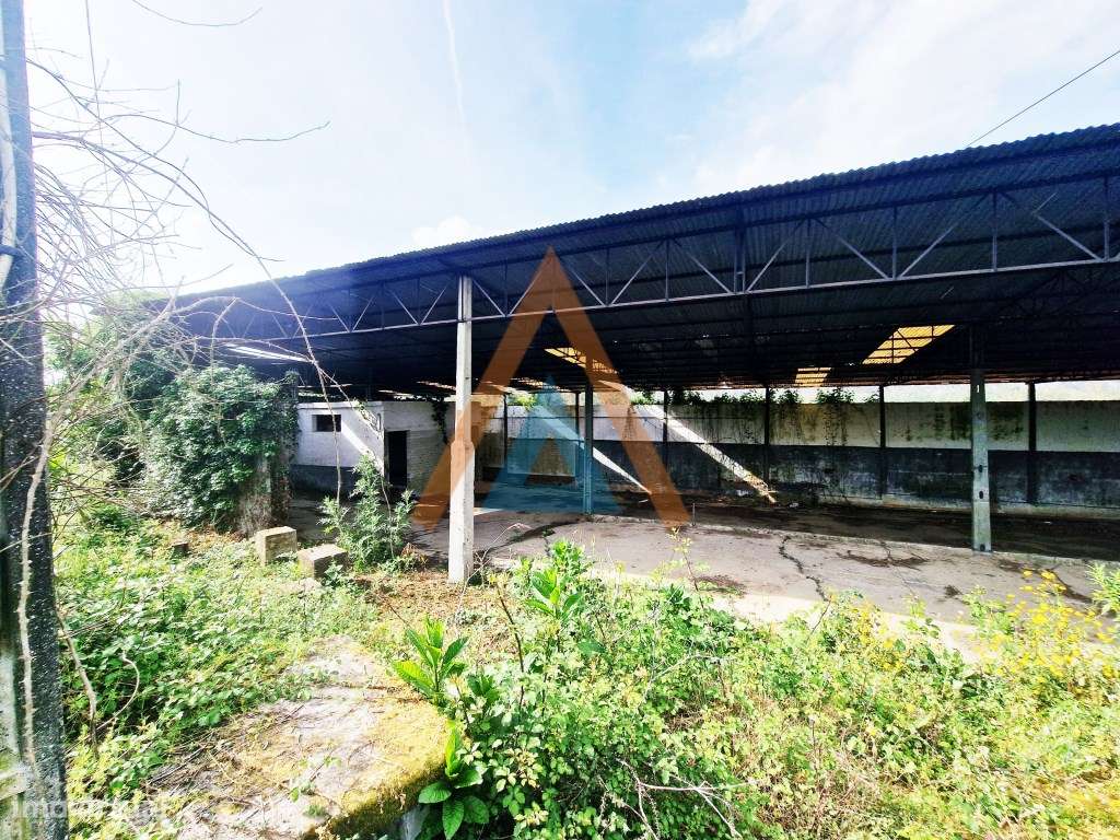 Maravilhosa quinta com casa e terreno-24