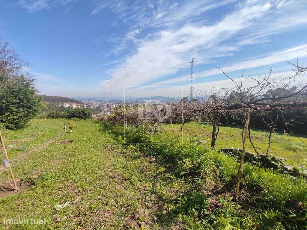 Quinta com 15000m2 em Santo Tirso-8