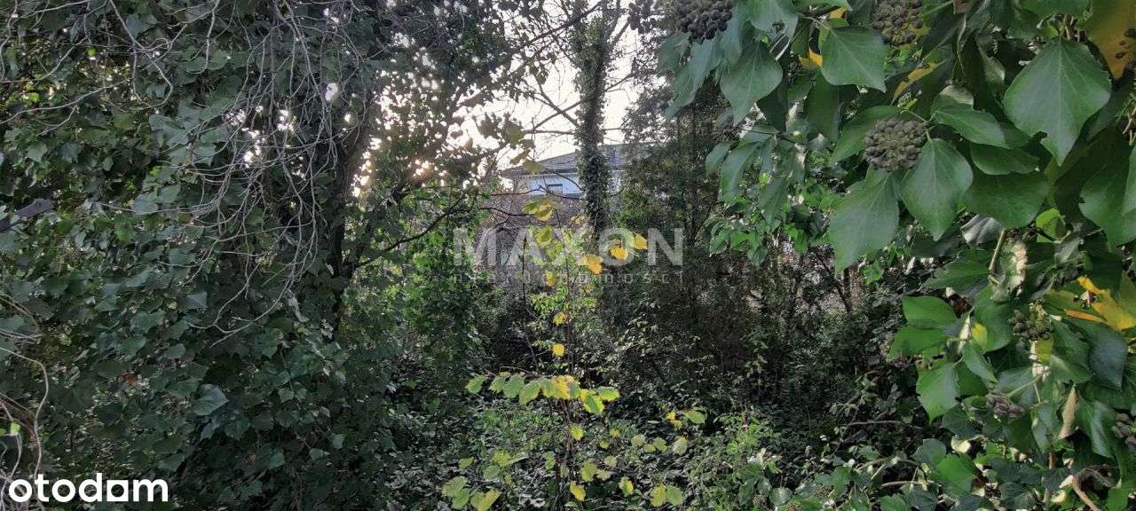 Narożna działka w topowej lokalizacji Wołomina - Pełny obrazek: 4/8