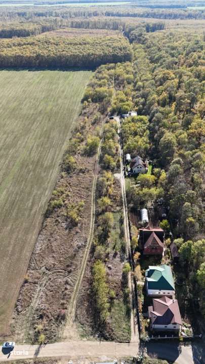 Snagov padure - Teren intravilan cu PUZ aprobat - Imagine principală: 1/9