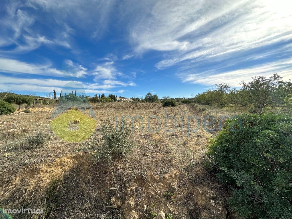 Terreno agrícola para investimento