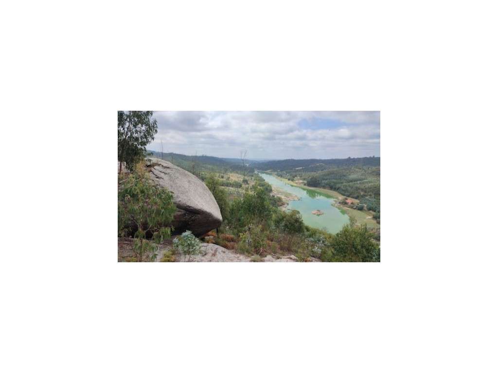 Lote de Terreno - Carregal do Sal, Viseu - Grande imagem: 5/8