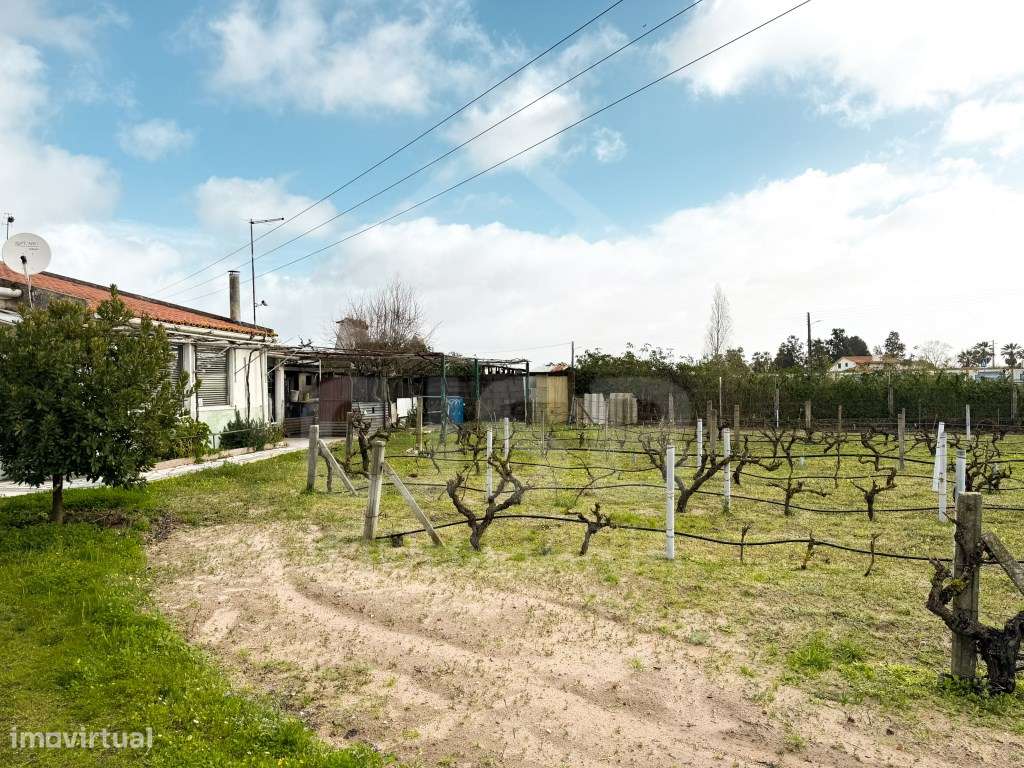 Terreno em Benavente-15