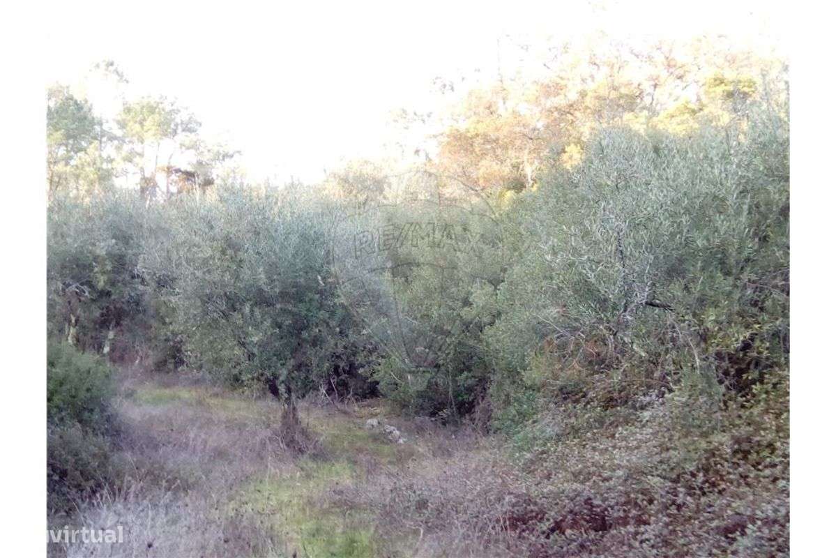 Terreno  para venda - Grande imagem: 3/11