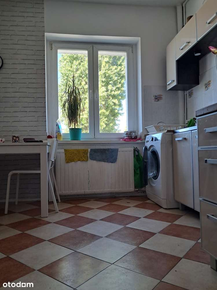 Pokój w mieszkaniu 3 pokojowym na Jeżycach - Pełny obrazek: 5/5