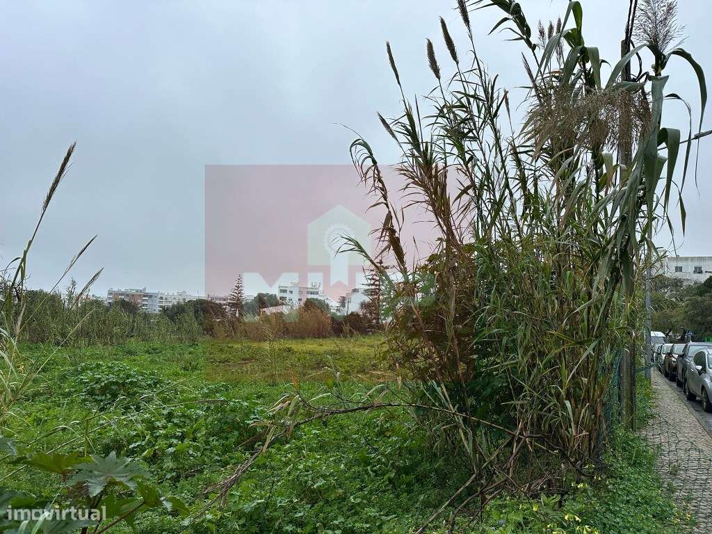 Terreno localizado em espaço urbanizável, Quelfes-2