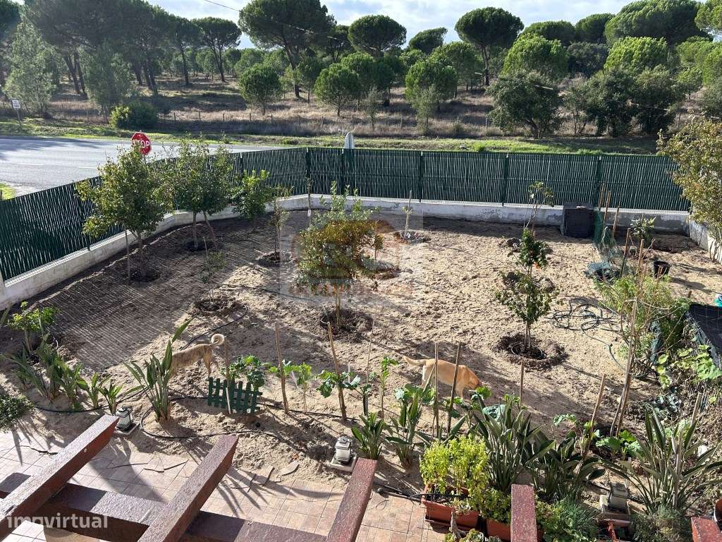 Excelente moradia com quintal em Grândola-27