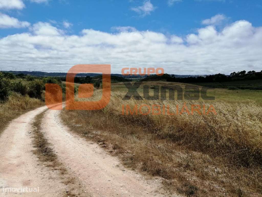 Terreno Rústico com quase 3 hct. plano- Zona de Óbidos! - Grande imagem: 3/6