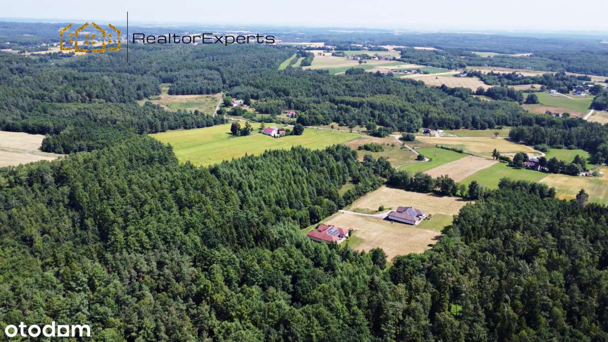Rezydencja z basenem | 1,15 ha | las z dwóch stron-17