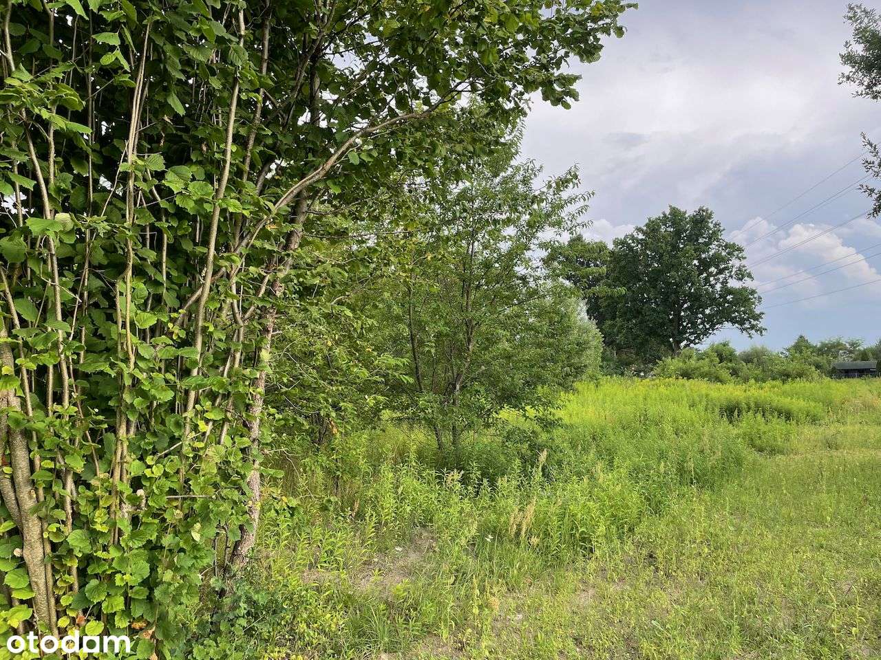 Bezpośrednio, ważne WZ - Pełny obrazek: 4/5