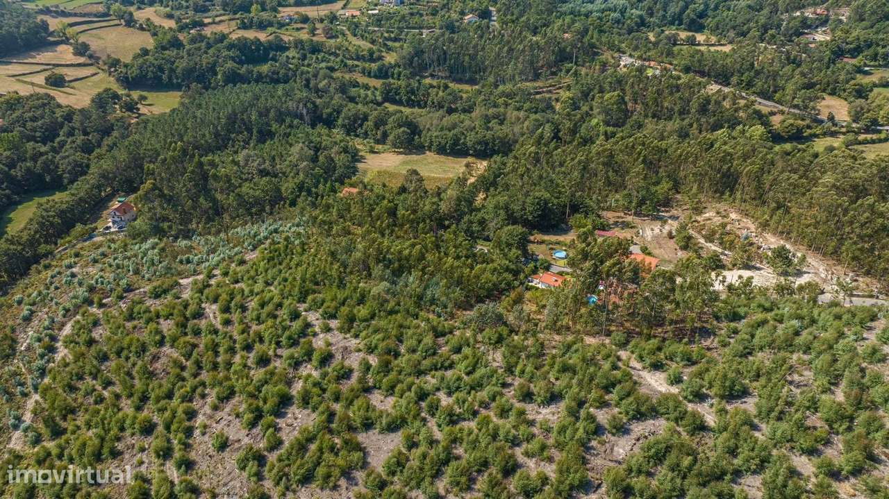 Terreno em Vieira Do Minho para construção - Grande imagem: 2/15
