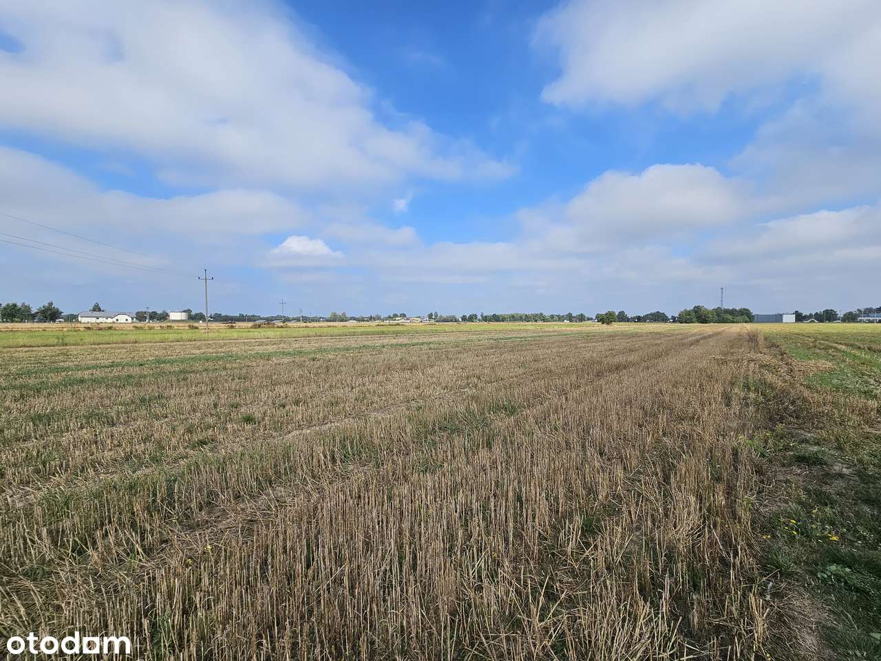 Uchwalony plan; b. dobry dojazd do W-wy; szkoła, PKP. Nowe domy-6