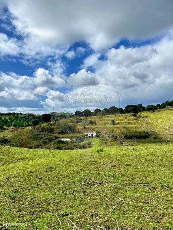 Terreno  para venda - Grande imagem: 4/11